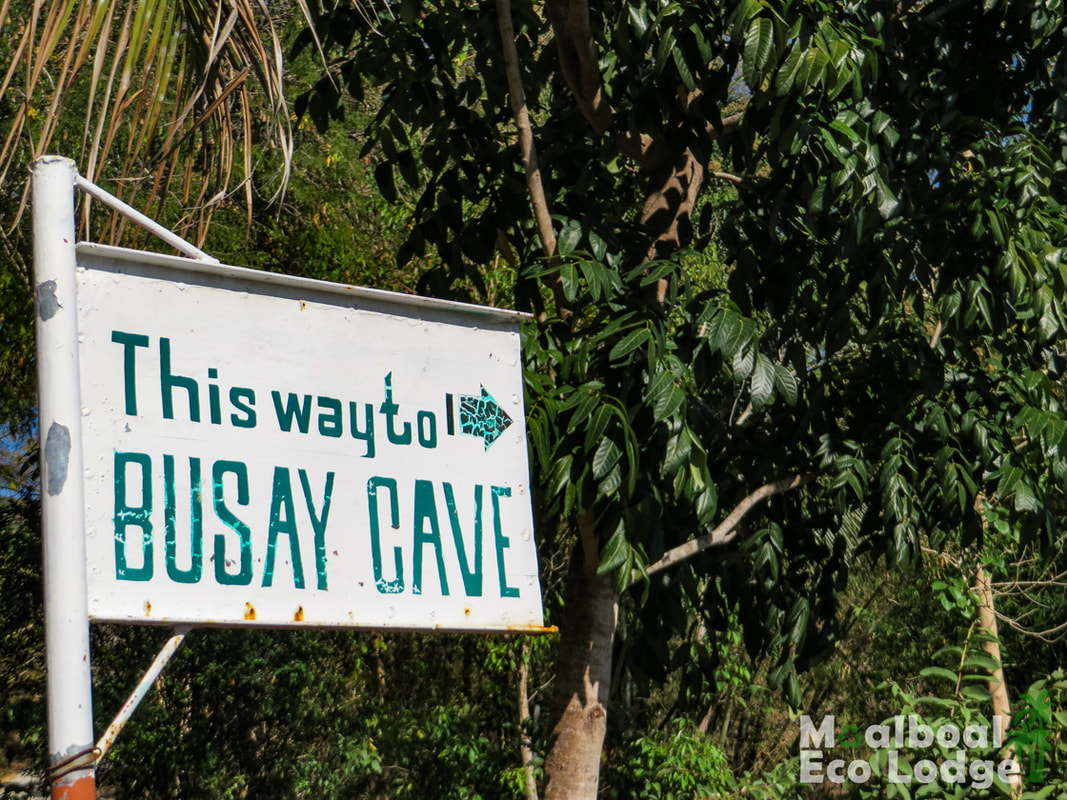 Busay Cave and Spring, Moalboal, Cebu, Philippines, day trip from Moalboal, Moalboal itinerary, Cebu itinerary, things to do in Moalboal, bucket list, swim in a cave pool, how to get to Busay Cave and Spring, when is the best time to visit Busay Cave and Spring, hidden gem of Moalboal, secret of Cebu, Moalboal Eco Lodge