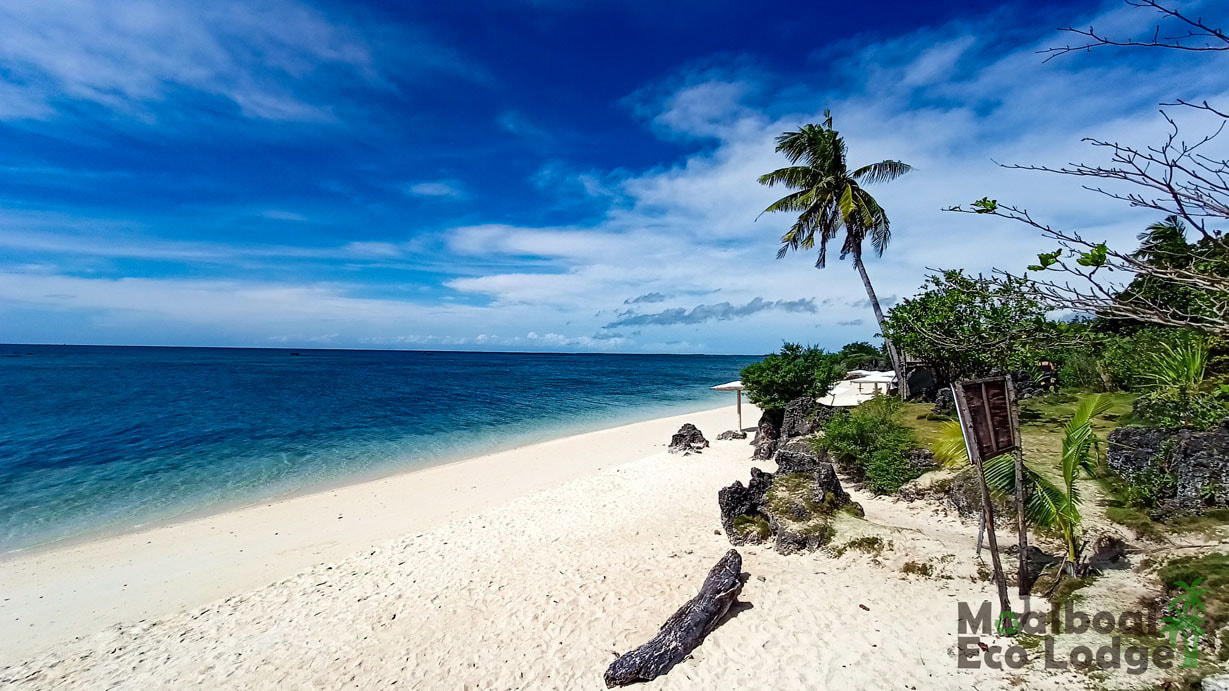 15 things to do on Bantayan Island, Cebu, Philippines, Cebu itinerary, how to get to Bantayan Island from Moalboal, where to stay on Bantayan Island, where to visit in Cebu Province, Sky Diving in Cebu the Philippines, best white sand beach in Cebu the Philippines, bucket list things to do in Cebu, Philippines, paradise white beach, Moalboal Eco Lodge