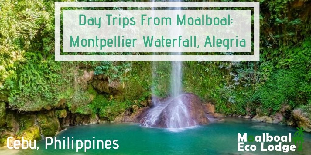 Montpellier Waterfall, Montpeller Falls, Alegria, Philippines, day trip from Moalboal, things to do in Moalboal, chasing waterfalls in Cebu, bucket list, secret waterfall, jade rock pool, how to get to Montpeller Falls, when is the best time to visit Montpellier Falls, hidden gem of cebu, secret of cebu, Moalboal Eco Lodge