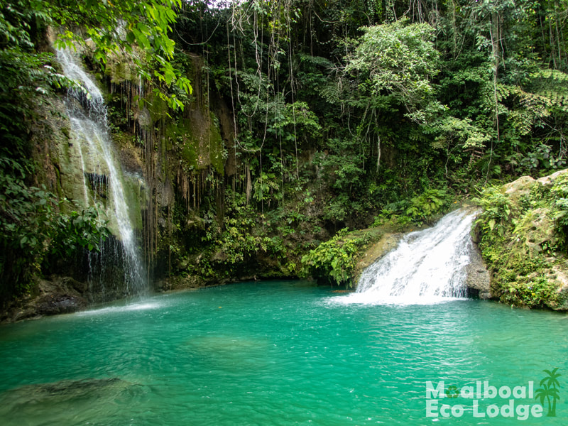 Cambais Falls, Alegria, Philippines, day trip from Moalboal, things to do in Moalboal, chasing waterfalls in Cebu, bucket list, secret waterfall, jade rock pool, how to get to Cambais Falls, when is the best time to visit Cambais Falls, hidden gem of Cebu, secret of Cebu, Moalboal Eco Lodge