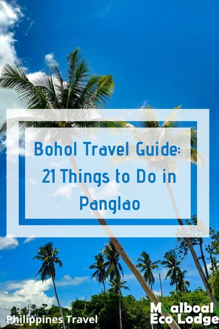 Bohol, #Philippines is beautiful. A popular tourist destination famous for its chocolate hills, white sand beaches, waterfalls, caves, Bilar man-made forest, Loboc River and much more. Moalboal Eco Lodge share a travel guide to Bohol including where to eat and where to stay in Panglao and how to get to #Bohol. This is 21 things to do in Panglao. #chocolatehills #panglao #boholphilippines #thingstodobohol #itsmorefuninthephilippines #ecotourism #responsibletravel #greentravel #sustainabletravel #bucketlist #budgettravel #travel #adventuretravel #waterfalls #waterfall #scubadiving