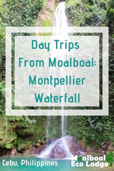 Montpellier Waterfall or Montpeller Falls, is a perfect day trip from #Moalboal. If chasing #waterfalls in #Cebu, #Philippines, is on your list of #thingstodoinMoalboal, Montpeller Falls is a must-visit secret waterfall. Moalboal Eco Lodge share one of Cebu’s hidden gems. #moalboalcebu #moalboalphilippines #itsmorefuninthephilippines #ecotourism #responsibletravel #greentravel #sustainabletravel #bucketlist #thingstodo #waterfall #adventuretravel #travel #budgettravel