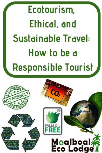 What is ecotourism, ethical and sustainable tourism and is it possible? Yes it is! By being aware of your choices and making a few changes, Moalboal Eco Lodge show you how to be a responsible tourist. #ethicaltravel #responsibletravel #responsibletourism #sustainabletravel #sustainabletourism #ecotravel #ecotourism #greentravel #gogreen #ecofriendly #SayNoToPlastic #PlasticFree #TravelTips #EnvironmentallyFriendly #BeatPlasticPollution #marineconservation #plasticpollution #OceanConservation #travel 