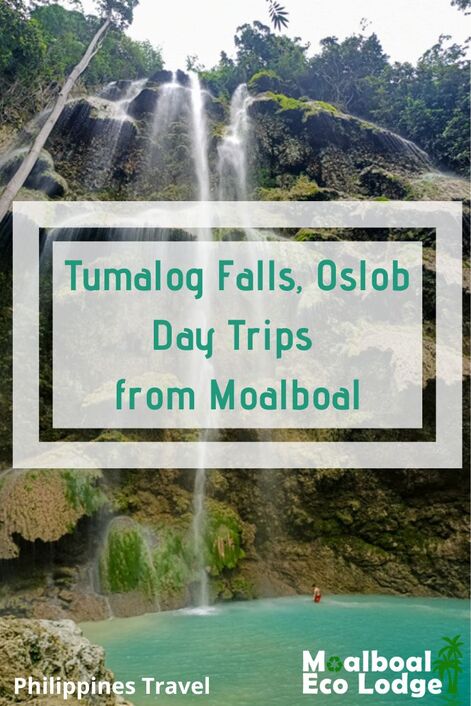 Tumalog Falls, #Oslob #Cebu, is a stunning day trip from #Moalboal. If chasing #waterfalls in the #Philippines is on your list of things to do in Moalboal, add Tumalog Falls to your list. Moalboal Eco Lodge share all you need to know. #moalboalcebu #moalboalphilippines #thingstodomoalboal #itsmorefuninthephilippines #ecotourism #responsibletravel #greentravel #sustainabletravel #bucketlist #thingstodo #budgettravel #travel #adventuretravel #waterfall