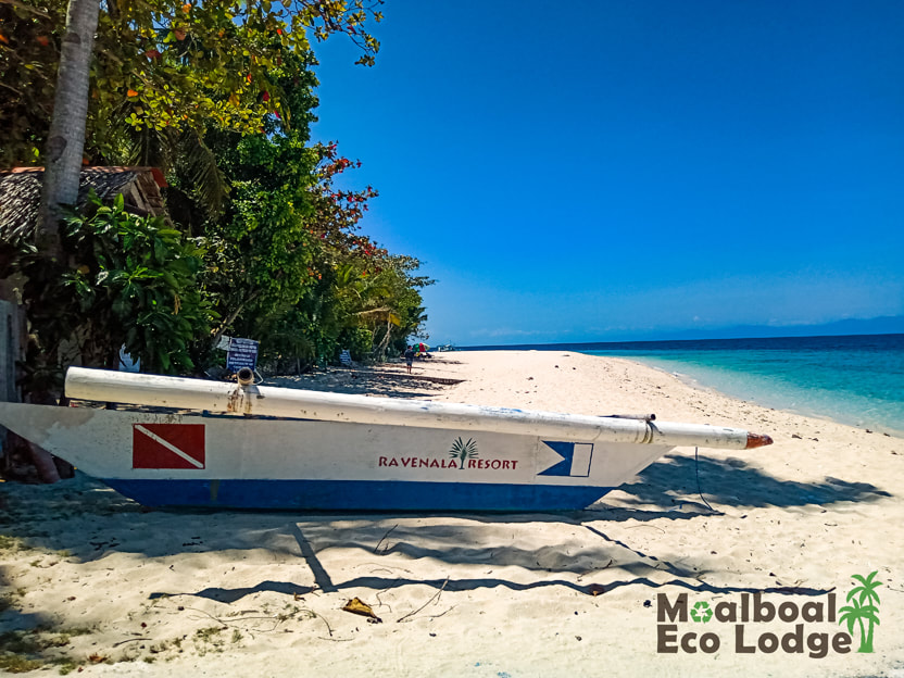 White Beach, Moalboal, Cebu, Basdaku White Beach, Philippines, day trip from Moalboal, Moalboal day trip, things to do in Moalboal, white sand beach in Moalboal, Cebu, bucket list, how to get to Basdaku White Beach, when is the best time to visit Basdaku White Beach, Moalboal Eco Lodge