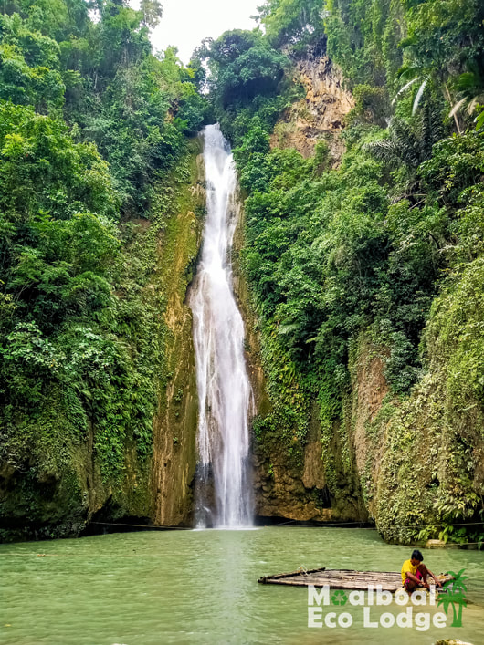 Mantayupan Falls, Barili, Cebu, Philippines, Day trip from Moalboal, things to do in Moalboal, Cebu’s highest waterfall, chasing waterfalls, bucket list in Cebu, how to get to Mantayupan Falls, when is the best time to visit Mantayupan Falls, Moalboal Eco Lodge