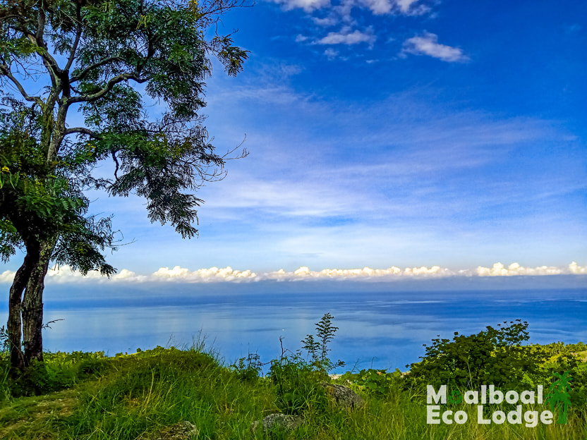 Osmena Peak hike, Dalaguete, Cebu, Philippines, day trip from Moalboal, hike to the highest point in Cebu, best viewpoint in Cebu, must see things to do in Moalboal, Cebu, bucket list, how to get to Osmena Peak, when is the best time to visit Osmena Peak, South Cebu itinerary, Moalboal Eco Lodge