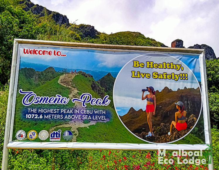 Osmena Peak hike, Dalaguete, Cebu, Philippines, day trip from Moalboal, hike to the highest point in Cebu, best viewpoint in Cebu, must see things to do in Moalboal, Cebu, bucket list, how to get to Osmena Peak, when is the best time to visit Osmena Peak, South Cebu itinerary, Moalboal Eco Lodge