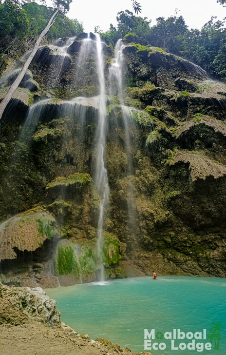 Tumalog Falls, Oslob, Philippines, day trip from Moalboal, all you need to know about Tumalog Falls, Oslob, things to do in Moalboal, chasing waterfalls in Cebu, bucket list, how to get to Tumalog Falls, Oslob, when is the best time to visit Tumalog Falls, Moalboal Eco Lodge