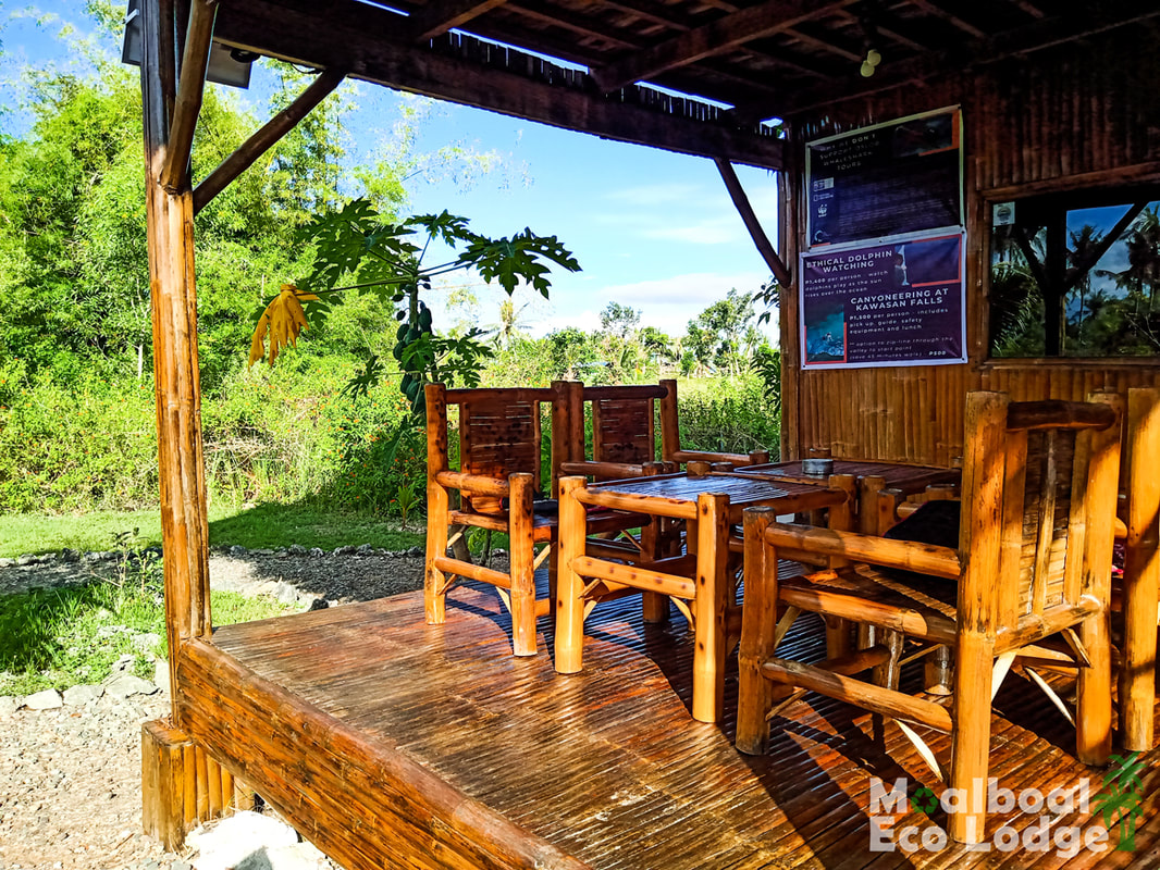 Moalboal Eco Lodge, Eco-Friendly Bamboo Nipa Huts, Private rooms, spacious Family Room, 4 bed dormitory, yoga deck, sunset deck, chill out hammock deck, yoga retreat, vegan and vegetarian friendly, Panagsama Beach, Moalboal, Cebu, Philippines