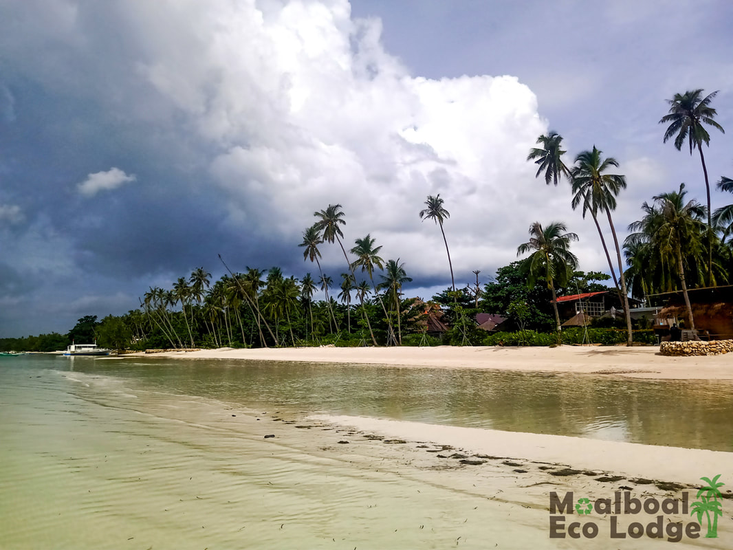 Bohol Travel Guide, 21 Things to Do in Panglao, Bohol, Philippines, Chocolate Hills, Loboc River, Bilar Man-Made forest, Waterfalls, Hinagdanan Cave, white sand beach, Instagram restaurants, where to eat in Panglao, Bohol, how to get to Bohol, Where to stay in Panglao, Bohol, Moalboal Eco Lodge