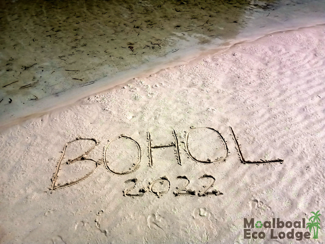 Bohol Travel Guide, 21 Things to Do in Panglao, Bohol, Philippines, Chocolate Hills, Loboc River, Bilar Man-Made forest, Waterfalls, Hinagdanan Cave, white sand beach, Instagram restaurants, where to eat in Panglao, Bohol, how to get to Bohol, Where to stay in Panglao, Bohol, Moalboal Eco Lodge