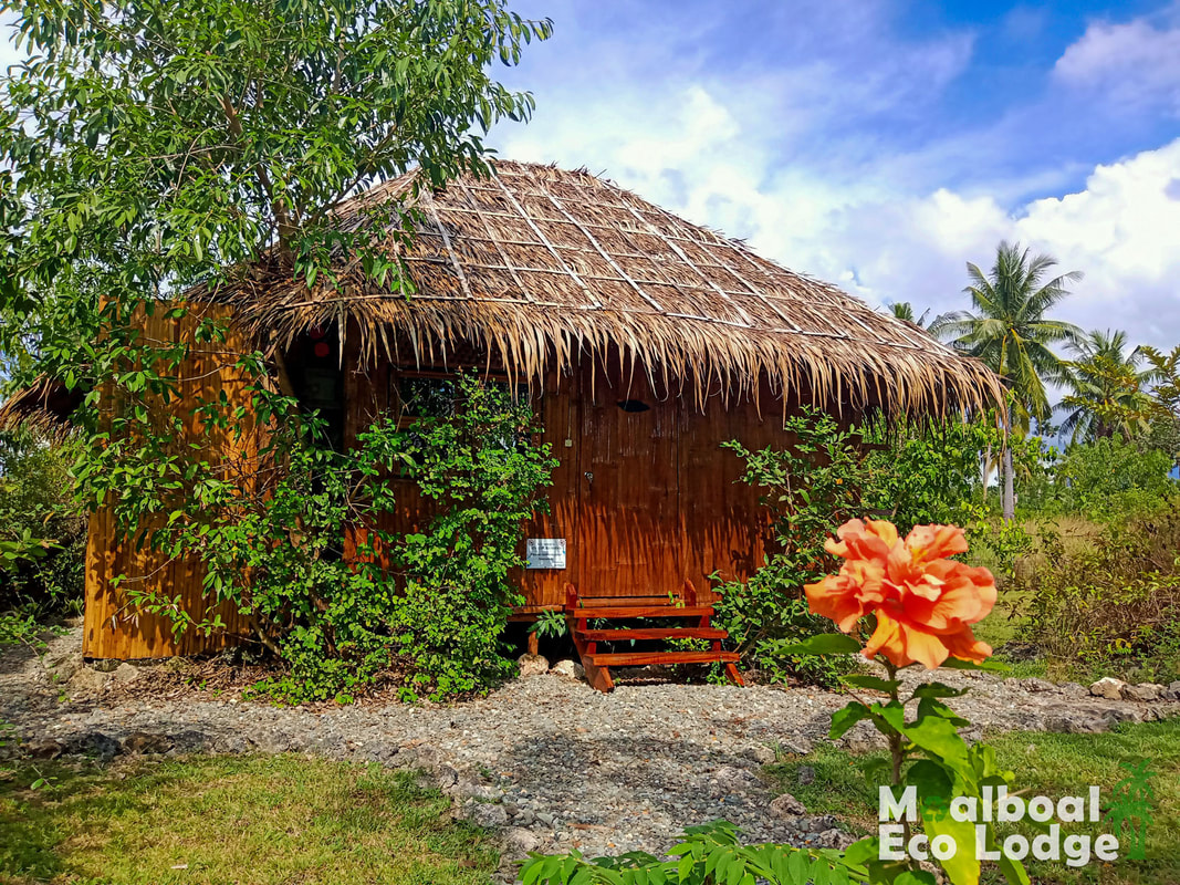 Moalboal Eco Lodge, Eco-Friendly Bamboo Nipa Huts, Private rooms, spacious Family Room, 4 bed dormitory, yoga deck, sunset deck, chill out hammock deck, yoga retreat, vegan and vegetarian friendly, Panagsama Beach, Moalboal, Cebu, Philippines