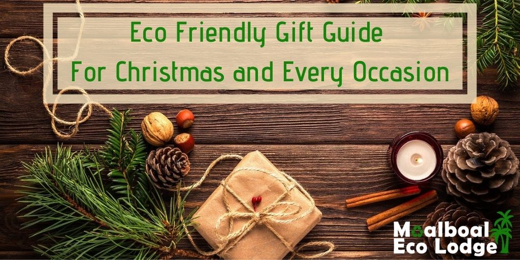 Eco friendly gifts for Christmas and every occasion, sustainable gift guide for the festive season, zero waste, plastic free, palm oil free, handmade gifts, gift experiences, go for a meal, wine tasting, brewery tour, adopt an animal, help animal causes, Moalboal Eco Lodge