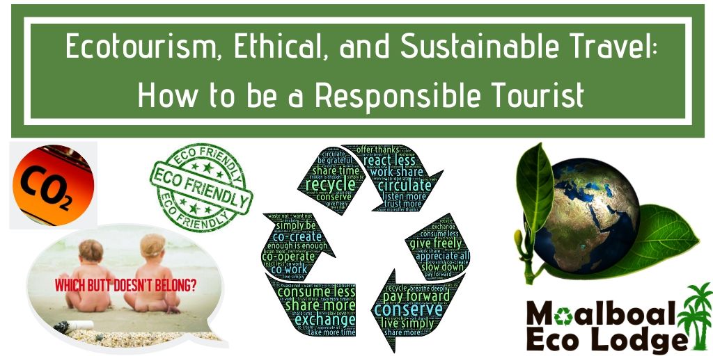 Ecotourism, Ethical, and sustainable Tourism: How to be a responsible tourist, is sustainable travel possible, what is ecotourism and overtourism, is it possible to travel green and be eco friendly, tips for responsible tourism, reduce carbon footprint, slow travel, use less plastic,Moalboal Eco Lodge.