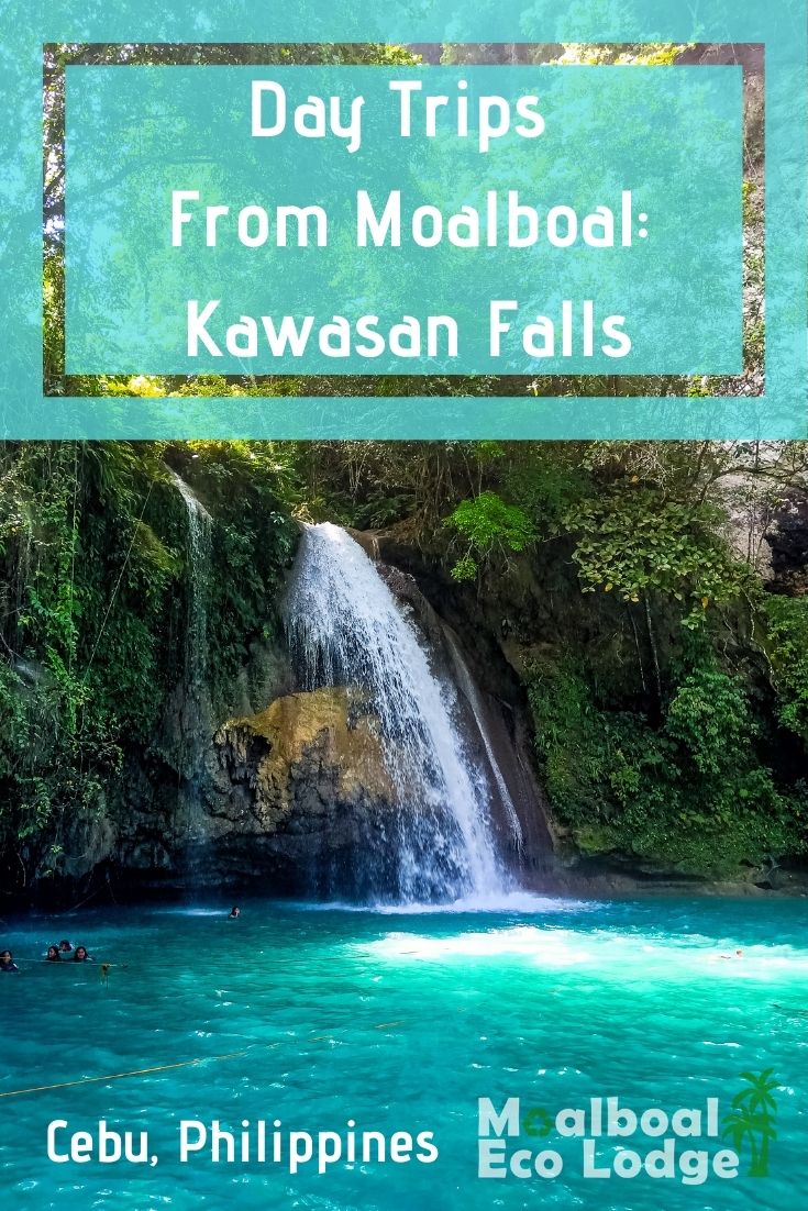 : Kawasan Falls, Badian is Cebu’s most famous waterfall, and a perfect day trip from Moalboal. For the adventure seeker, begin your visit to Kawasan Falls by ziplining in Badian, then canyoneering and cliff jumping into the #waterfall. You can also enjoy this natural beauty by a walking trail. If chasing waterfalls in the #Philippines is on your list of things to do in #Moalboal, Moalboal Eco Lodge share Kawasan Falls. #waterfalls #cebu #moalboalcebu #moalboalphilippines #thingstodomoalboal #TravelCebu #TravelBadian #KawasanCanyoneering #kawasanfalls #kawasanwaterfalls #kawasanfallscebu #thingstodocebu #thephilippines #adventuretravel #itsmorefuninthephilippines #bucketlist #budgettravel #travel 