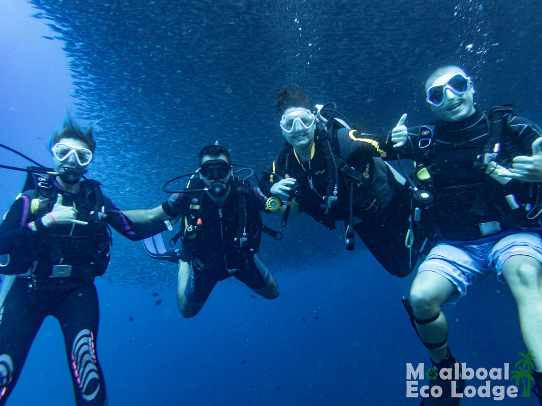 Bucket list ideas and experiences in the Philippines, things to do before you die, bucket list activities in Cebu, adventurous things to do in Cebu, unique experiences in Cebu and the Philippines, Skydiving in the Philippines, freediving and scuba diving the Philippines, bungee jump Philippines, be a mermaid, ethical swim with whale sharks, snorkel with turtles, learn to surf, canyoneering at Kawasan Falls, Moalboal Eco Lodge