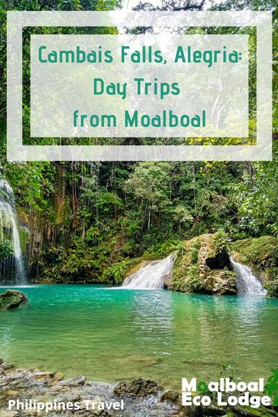 Cambais Falls, Alegria, #Cebu, is a perfect day trip from #Moalboal. If chasing waterfalls in the #Philippines is on your list of things to do in Moalboal, add Cambais Falls to your list. Moalboal Eco Lodge share all you need to know about Cambais Falls.#cambaisfalls #alegria #moalboalcebu #moalboalphilippines #thingstodomoalboal #itsmorefuninthephilippines #ecotourism #responsibletravel #greentravel #sustainabletravel #bucketlist #thingstodo #adventuretravel #waterfalls #waterfall