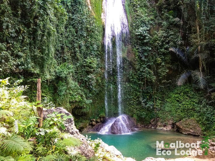 Montpellier Waterfall, Montpeller Falls, Alegria, Philippines, day trip from Moalboal, things to do in Moalboal, chasing waterfalls in Cebu, bucket list, secret waterfall, jade rock pool, how to get to Montpeller Falls, when is the best time to visit Montpellier Falls, hidden gem of Cebu, secret of Cebu, Moalboal Eco Lodge