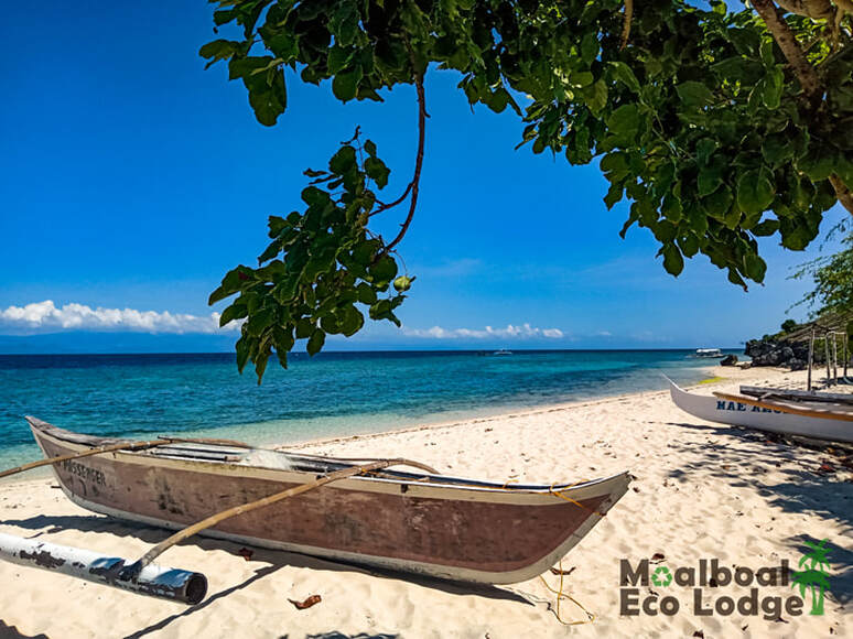 White Beach, Moalboal, Cebu, Basdaku White Beach, Philippines, day trip from Moalboal, Moalboal day trip, things to do in Moalboal, white sand beach in Moalboal, Cebu, bucket list, how to get to Basdaku White Beach, when is the best time to visit Basdaku White Beach, Moalboal Eco Lodge