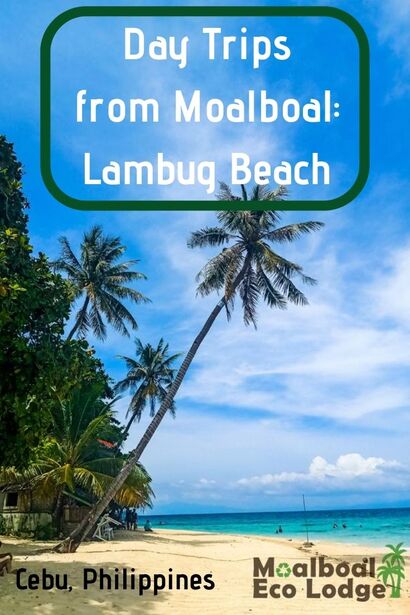 Lambug Beach, Badian Cebu, is a perfect day trip from Moalboal. If visiting a white sand beach in the #Philippines is on your list of things to do in #Moalboal, then head to Lambug Beach in Badian. Moalboal Eco Lodge share Lambug Beach, one of the secrets of #cebu. #moalboalcebu #moalboalphilippines #thingstodomoalboal #badian #itsmorefuninthephilippines #ecotourism #responsibletravel #greentravel #sustainabletravel #bucketlist #thingstodo #budgettravel #travel #adventuretravel 
