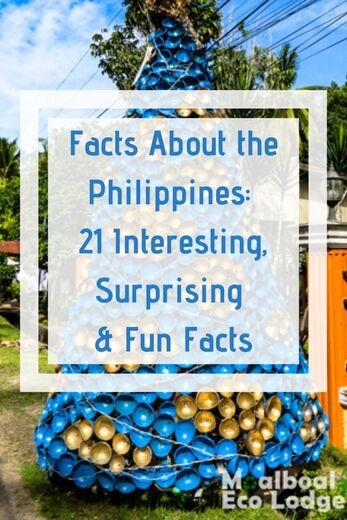 How well do you know the Philippines? There are many quirky, fascinating facts about the Filipino culture, and the #Philippines. Moalboal Eco Lodge share 21 interesting, surprising and fun facts about the Philippines. #funfacts #thephilippines #travel #itsmorefuninthephilippines #moalboal #cebu #moalboalcebu #moalboalphilippines #ecotourism #responsibletravel #greentravel #sustainabletravel