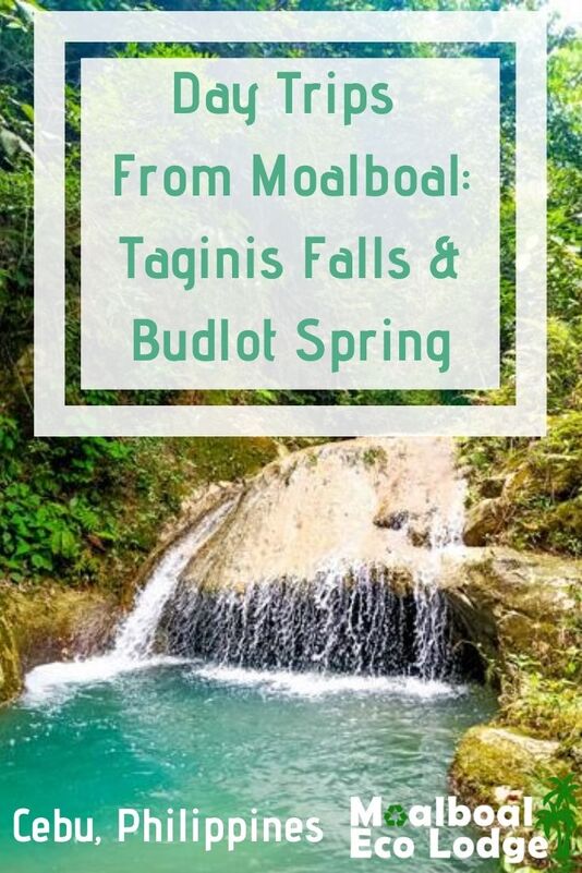 Pin: Taginis Falls and Budlot Spring, Cebu are a perfect day trip from #Moalboal. If chasing #waterfalls in the #Philippines is on your list of #thingstodoinMoalboal, Taginis Falls is a fun one to add to your list. Moalboal Eco Lodge share one of the secrets of #Cebu. #moalboalcebu #moalboalphilippines #itsmorefuninthephilippines #ecotourism #responsibletravel #greentravel #sustainabletravel #bucketlist #travel #thingstodo #budgettravel #waterfall #adventuretravel 