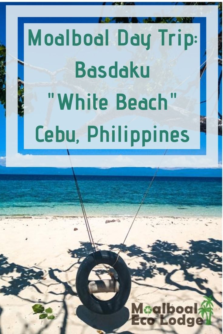Basdaku “White Beach”, Cebu, is a perfect Moalboal day trip. If sipping a coconut on a white sand beach in the Philippines is on your list of things to do in Moalboal, a visit to White Beach is a must. Moalboal Eco Lodge share all you need to know about White Beach. #moalboal #cebu #philippines #moalboalcebu #moalboalphilippines #thingstodomoalboal #itsmorefuninthephilippines #ecotourism #responsibletravel #greentravel #sustainabletravel #bucketlist #thingstodo #budgettravel #travel #adventuretravel 